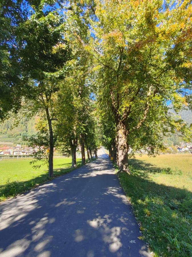 Appartamento Al Brenz Croviana Exteriér fotografie