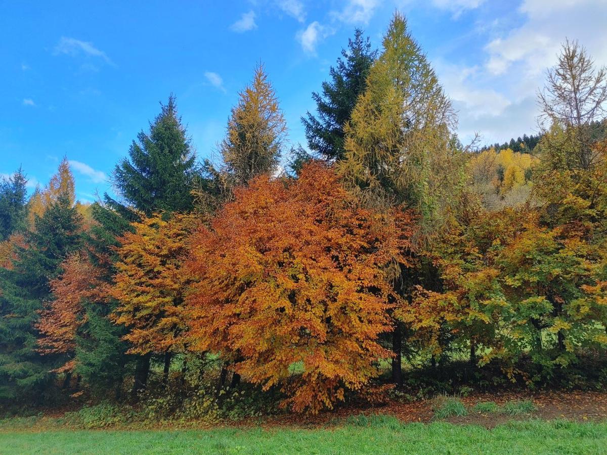 Appartamento Al Brenz Croviana Exteriér fotografie