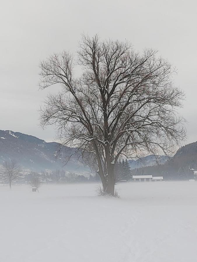 Appartamento Al Brenz Croviana Exteriér fotografie